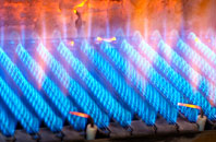 Trenear gas fired boilers